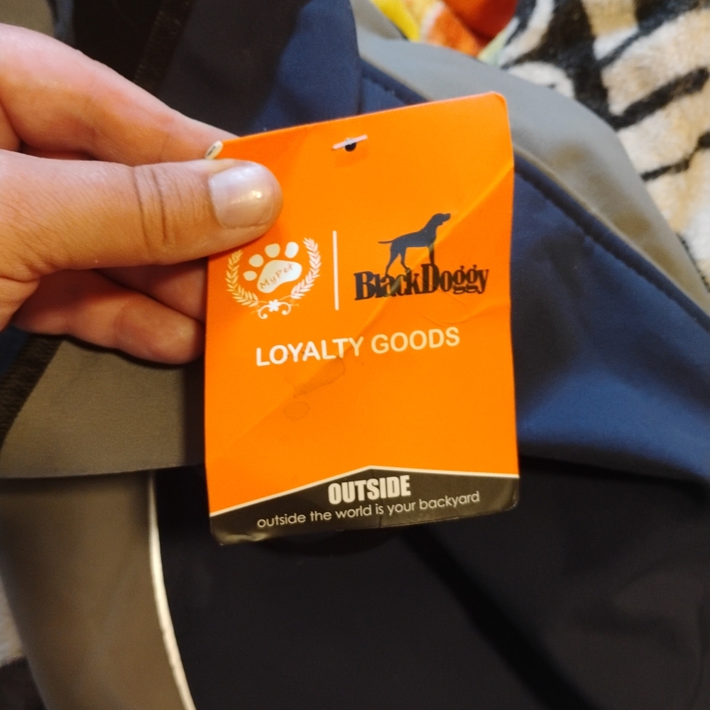 Outdoor Dog Jacket - Blue and Gray